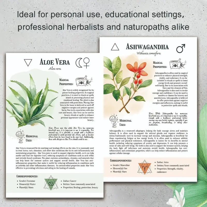 Natural Remedies Handbook with - Health & Wellness Pay 리뷰 및 가격