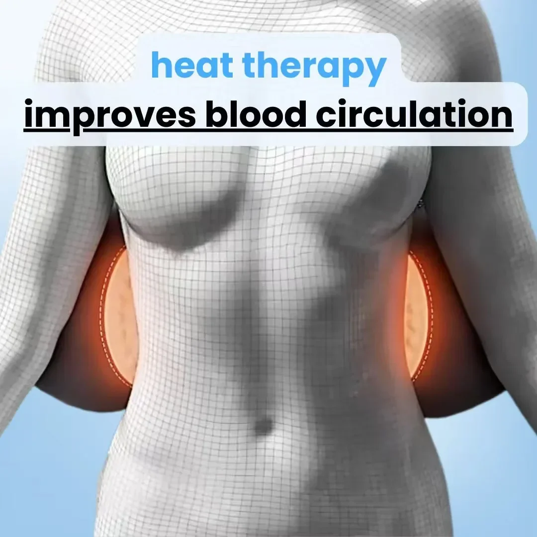 3-in-1 Heating Vibration Back  - Balance Cushion Disc 리뷰 및 가격