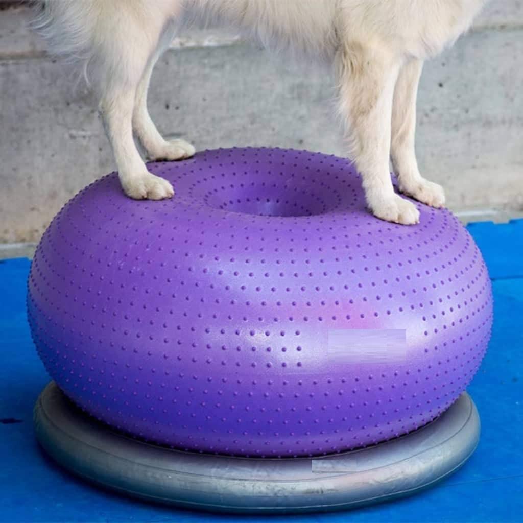 Balance Disc Cushion Dog Balan - Balance Cushion Disc 리뷰 및 가격