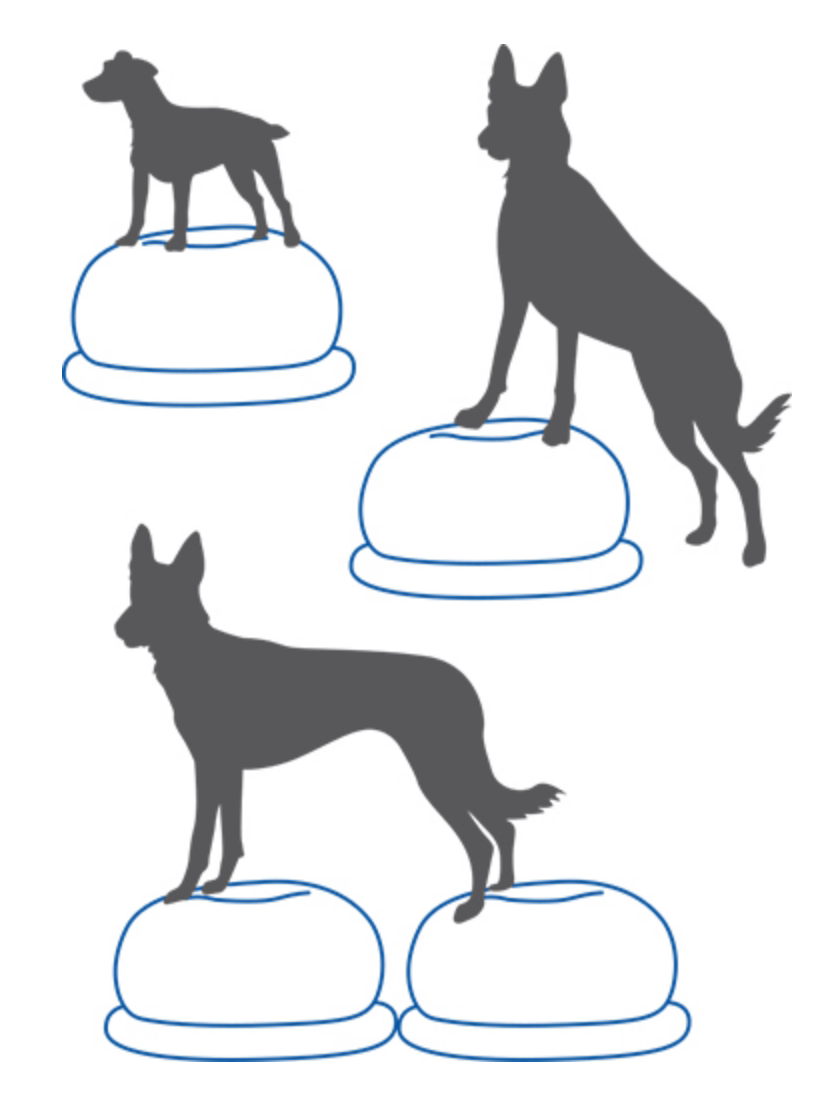 Balance Disc Cushion Dog Balan - Balance Cushion Disc 리뷰 및 가격