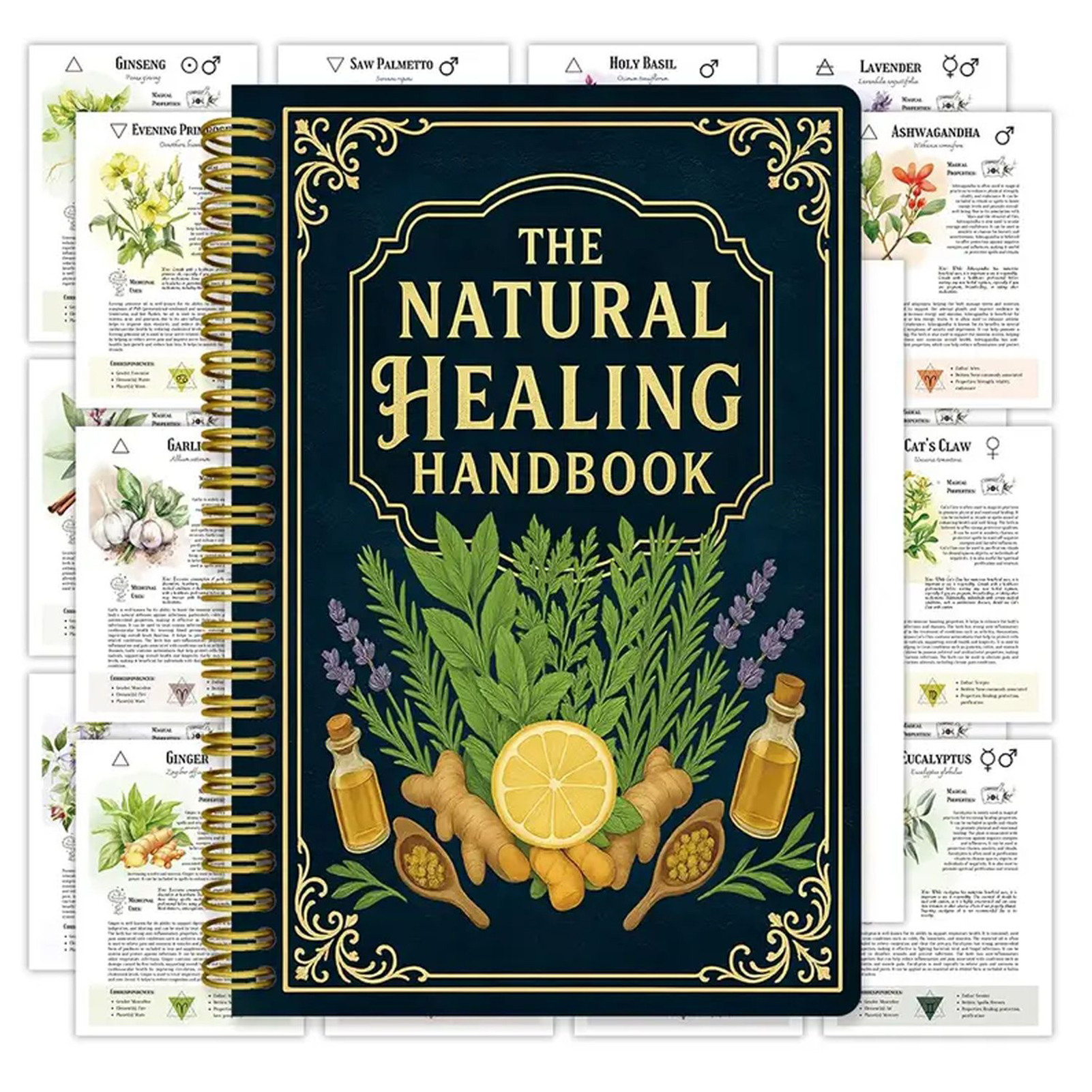 Natural Therapy Handbook, an E - Health & Wellness Pay 리뷰 및 가격