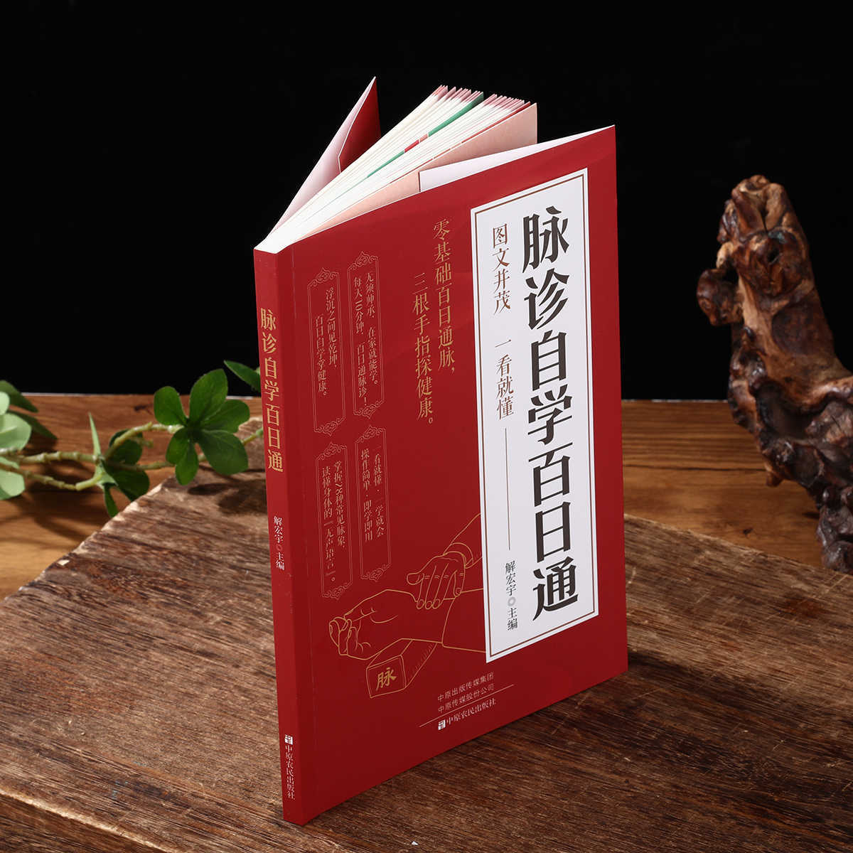 Pulse Diagnosis Self Study Hun - Health & Wellness Pay 리뷰 및 가격