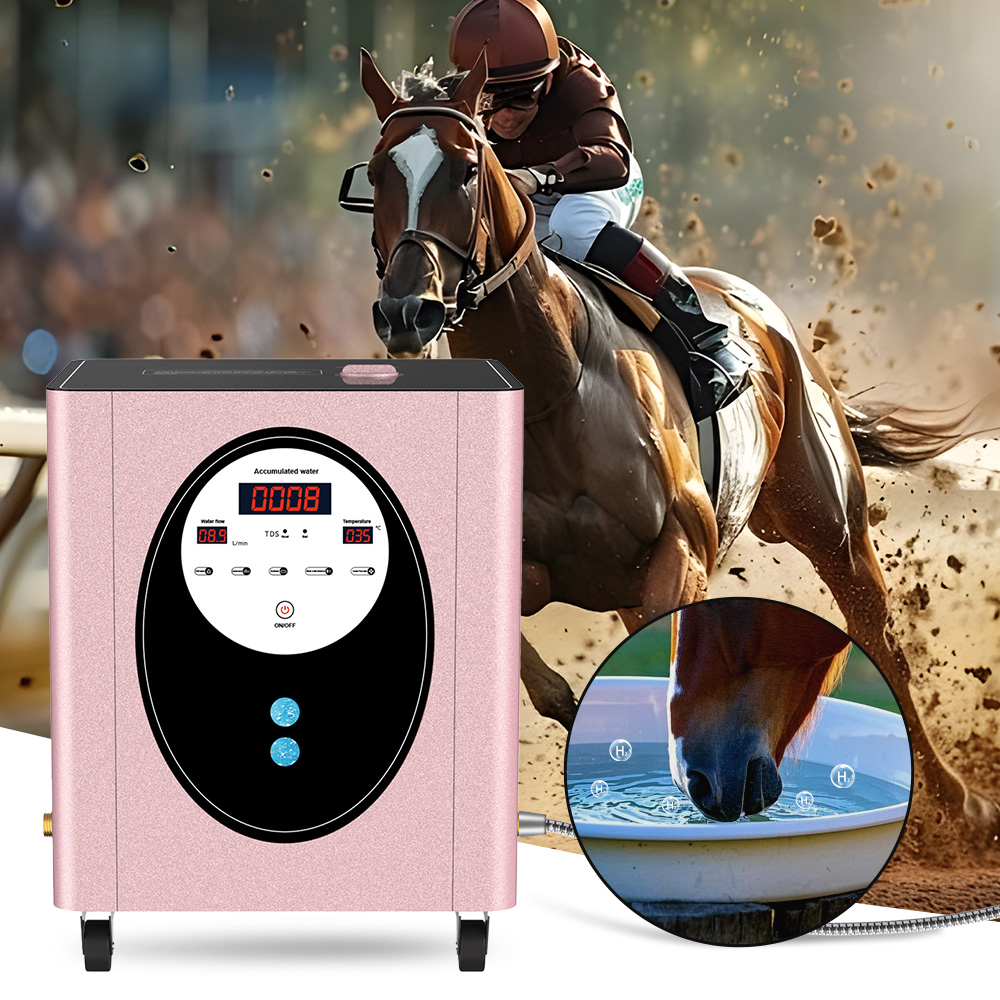 SUYZEKO Whole House Hydrogen W - Health Wellness And Spa 리뷰 및 가격
