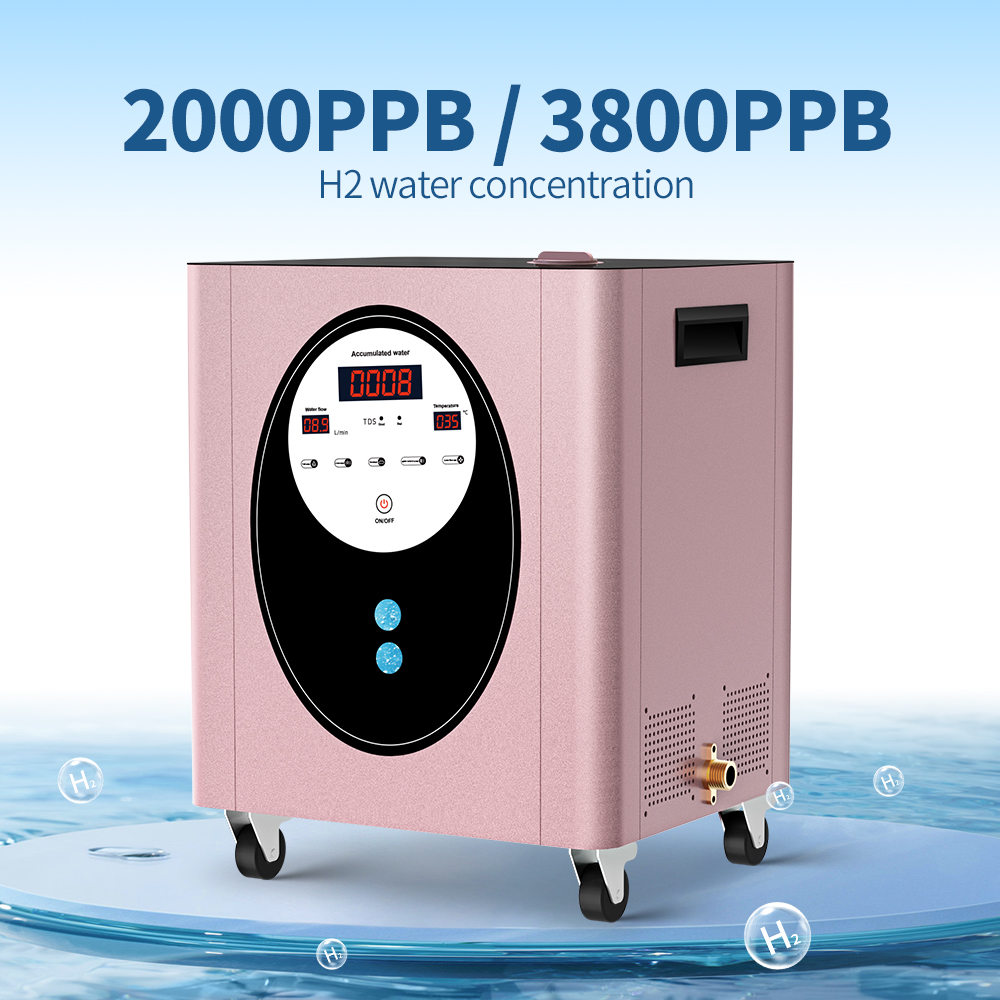 SUYZEKO Whole House Hydrogen W - Health Wellness And Spa 리뷰 및 가격